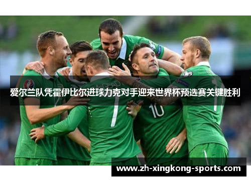 爱尔兰队凭霍伊比尔进球力克对手迎来世界杯预选赛关键胜利