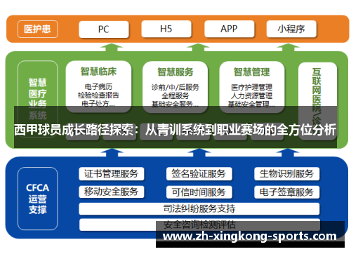 西甲球员成长路径探索：从青训系统到职业赛场的全方位分析