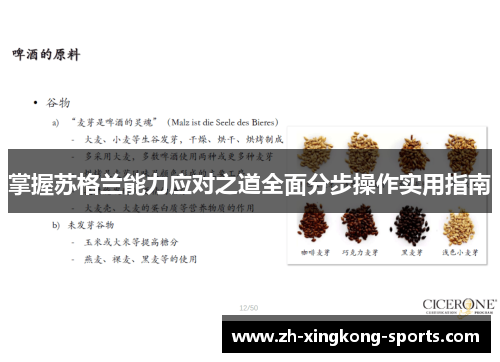 掌握苏格兰能力应对之道全面分步操作实用指南