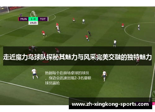 走近魔力鸟球队探秘其魅力与风采完美交融的独特魅力